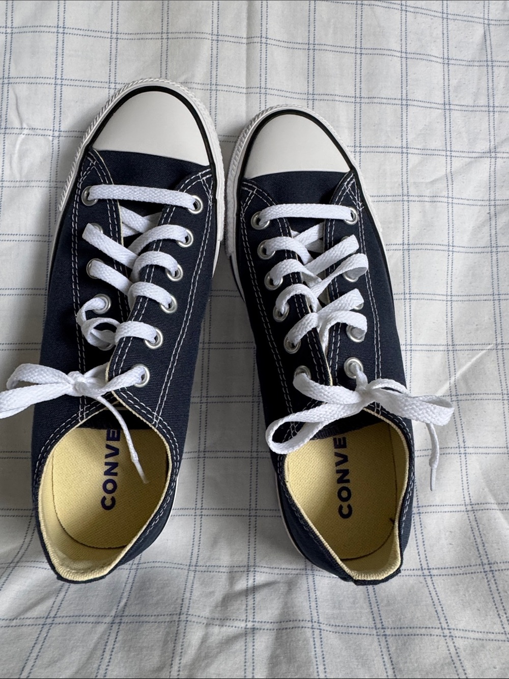 Converse Women's Low Top Sneakers in Navy and White